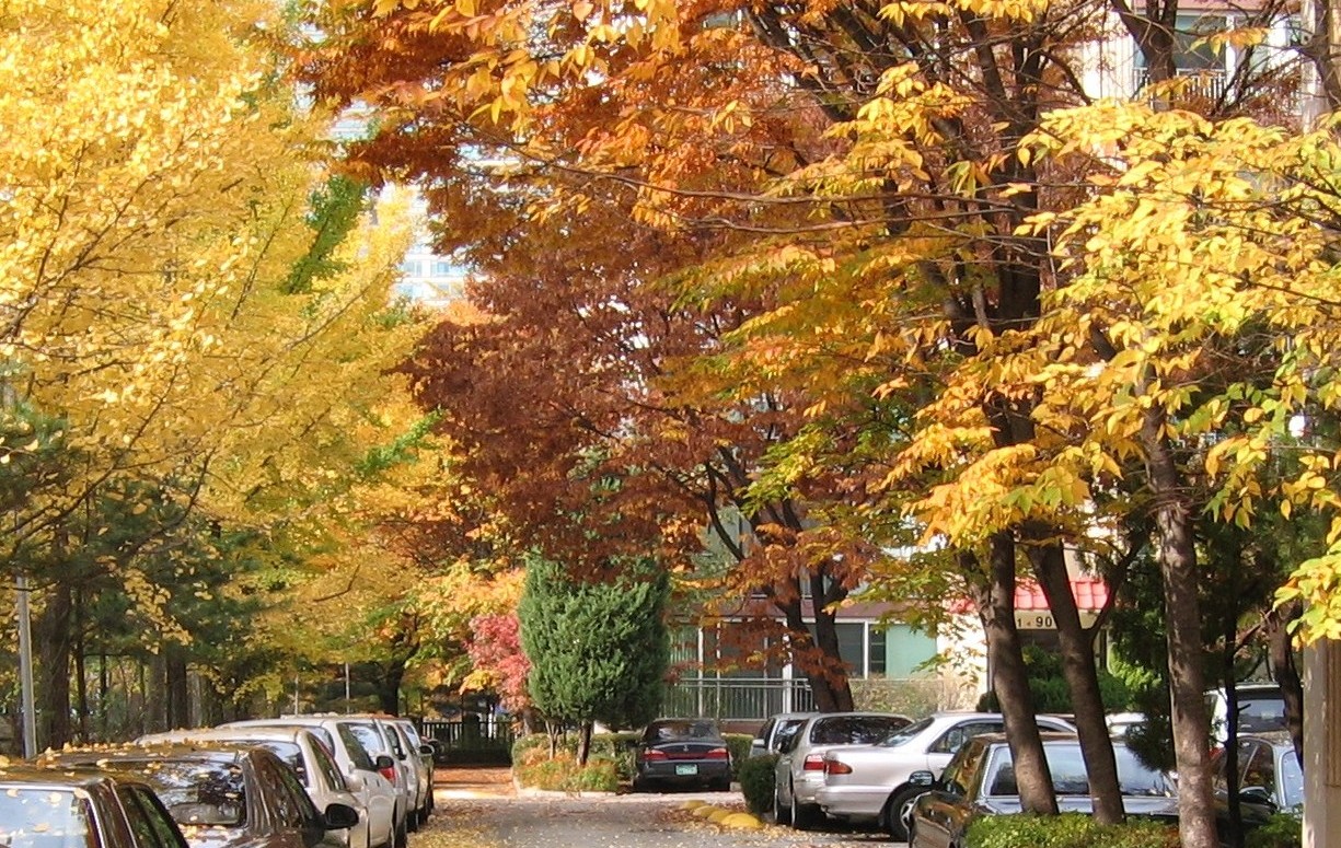 �������� - ������������