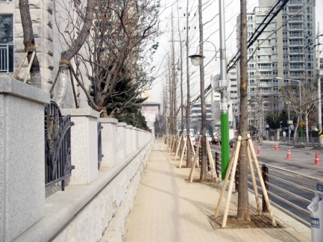 �����ֺ��ü� - �ֺ�����