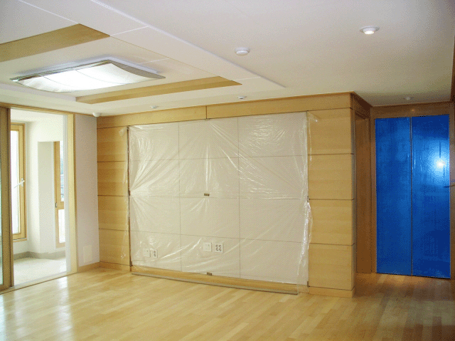 �ǳ����� - �Ž�