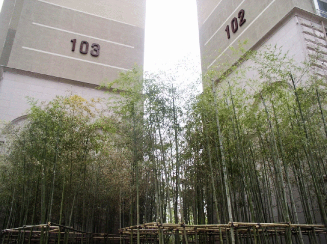 �������� - ������������