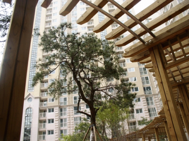 �������� - ������������