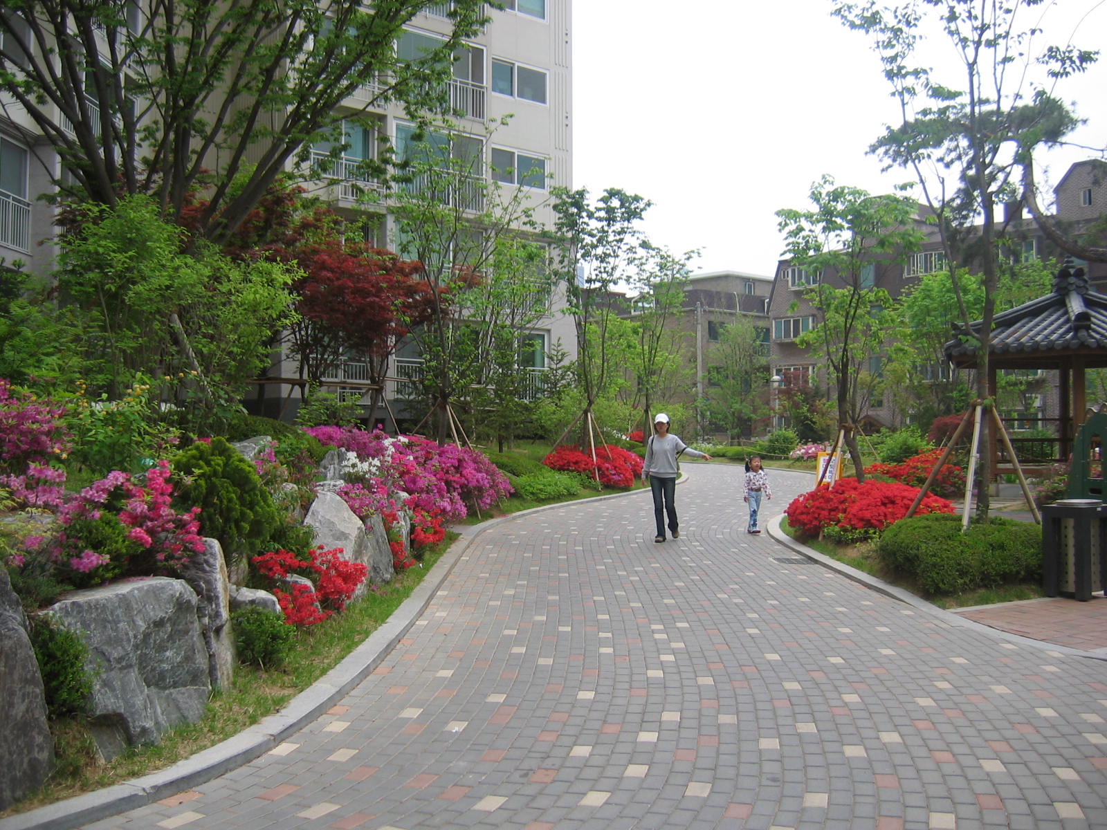 �������ü� - ��å��(����)