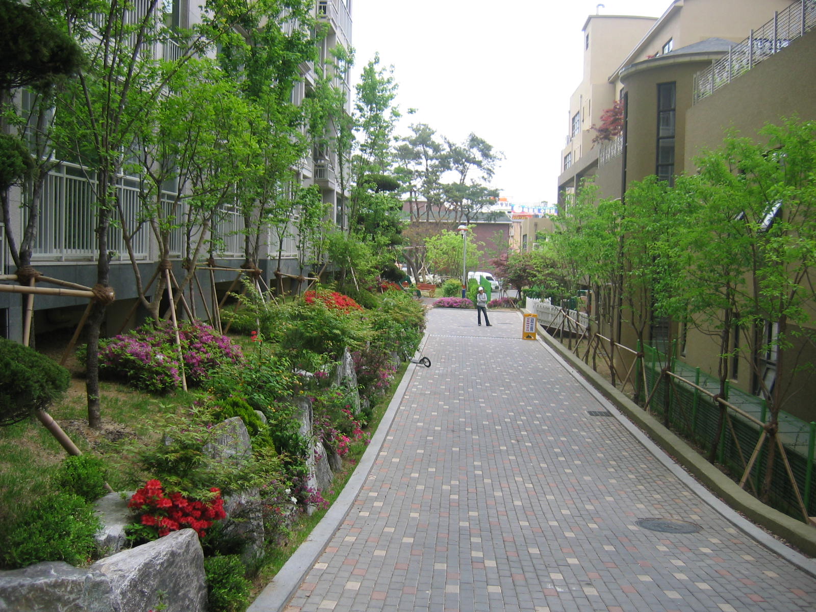 �������ü� - ��å��(����)