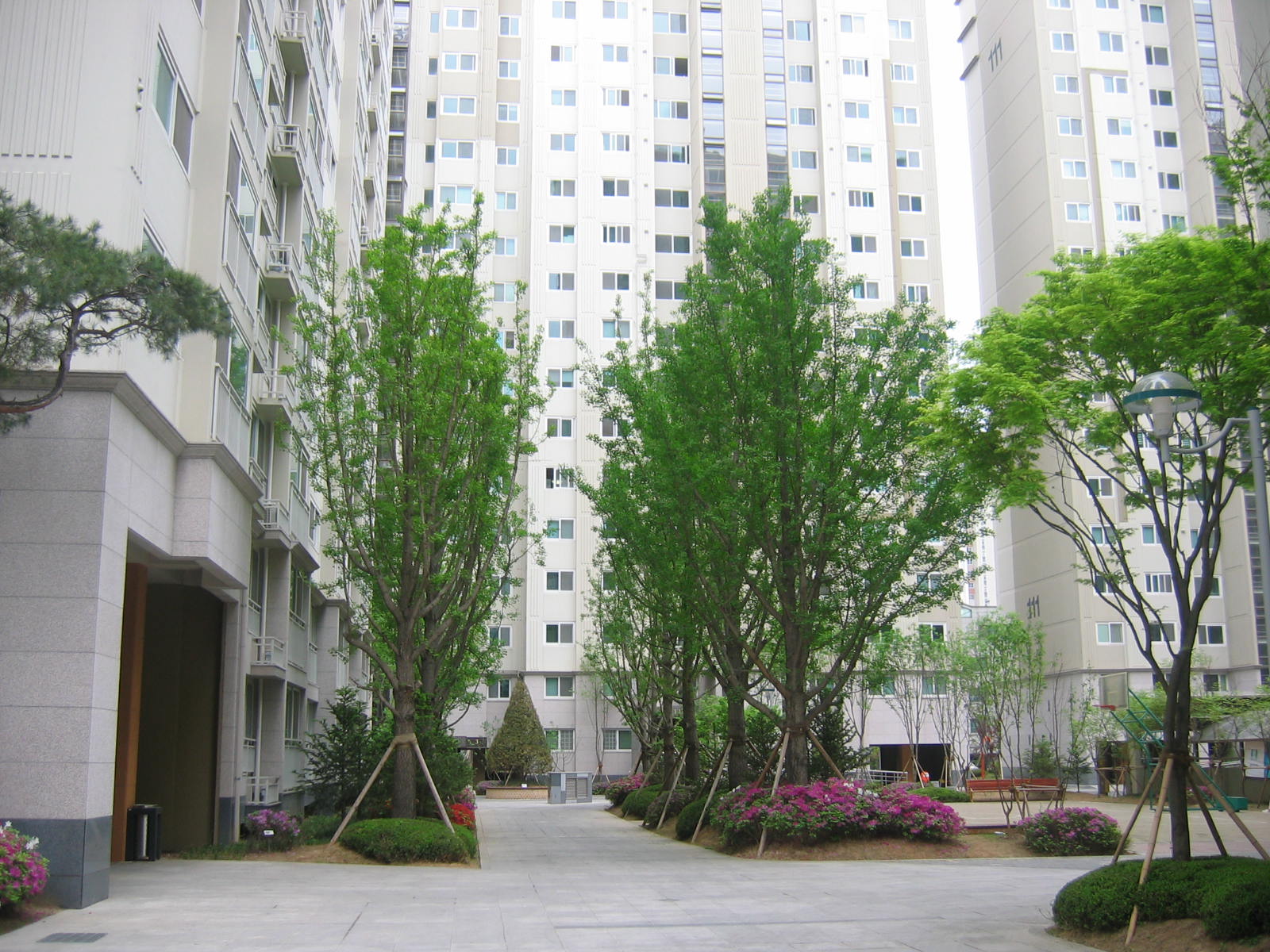 �������� - ������������