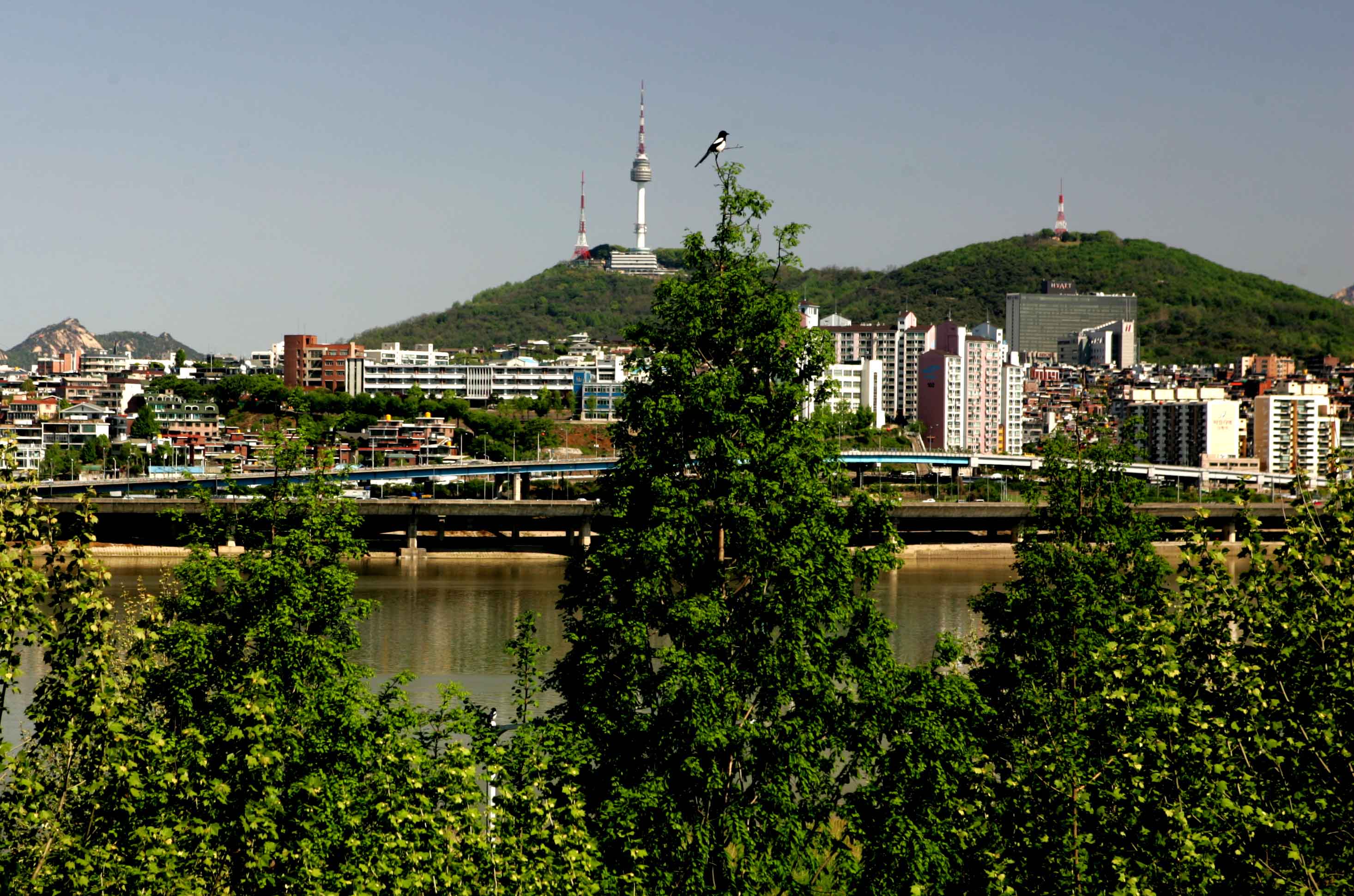 �ܺ����� - ��