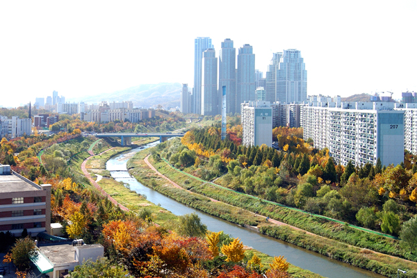 �ܺ����� - ��