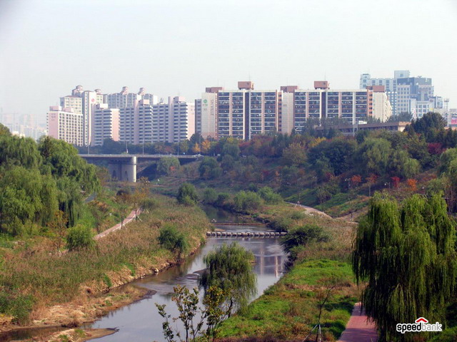 �������� - ��������