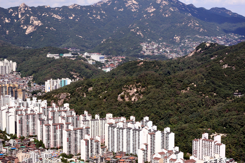 �������� - ��������