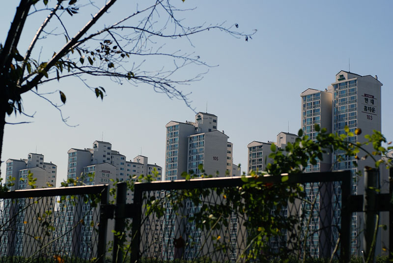 �������� - ��������