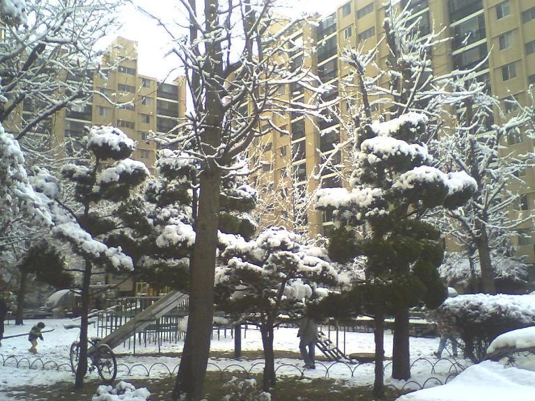 �������� - ������������