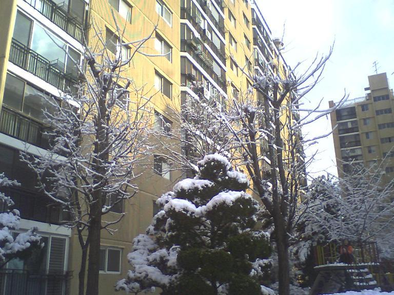 �������� - ������������