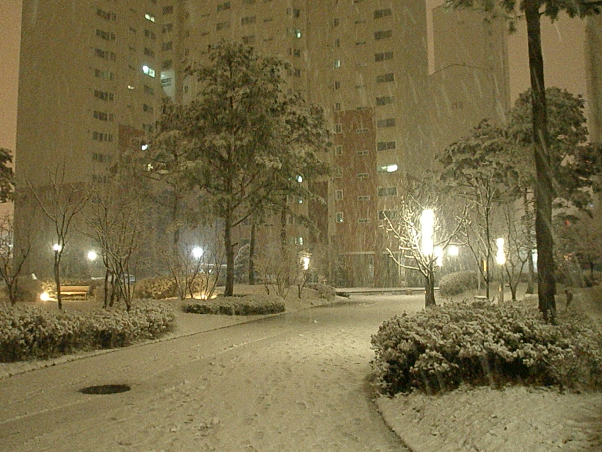 �������� - ������������