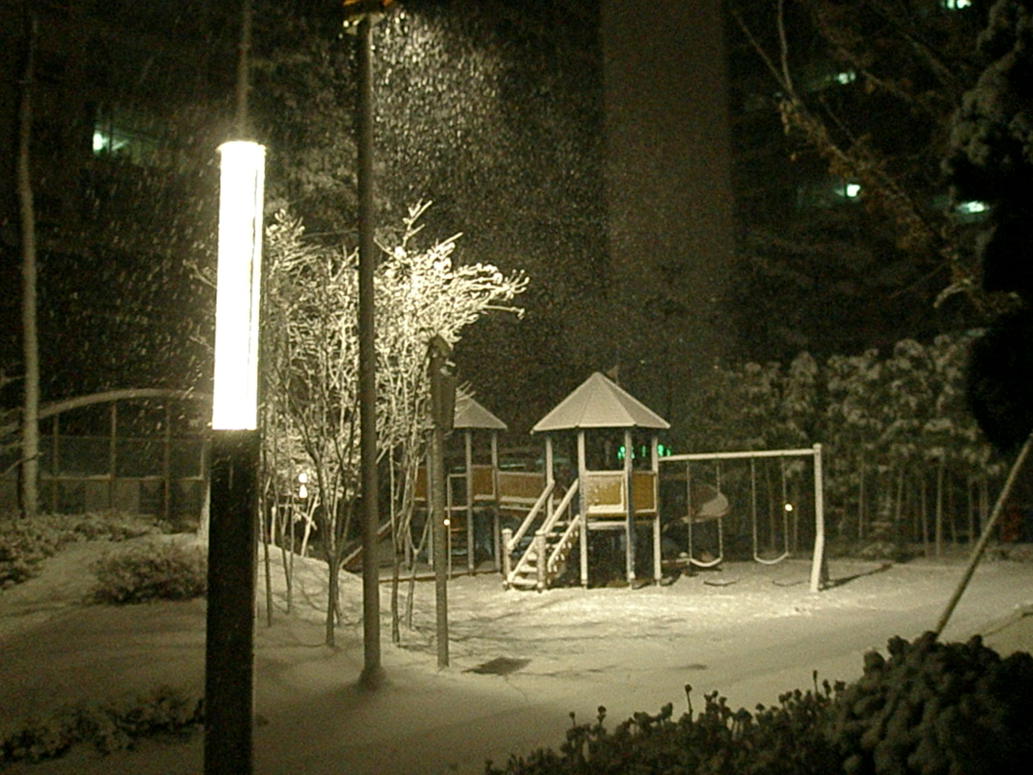 �������ü� - ������