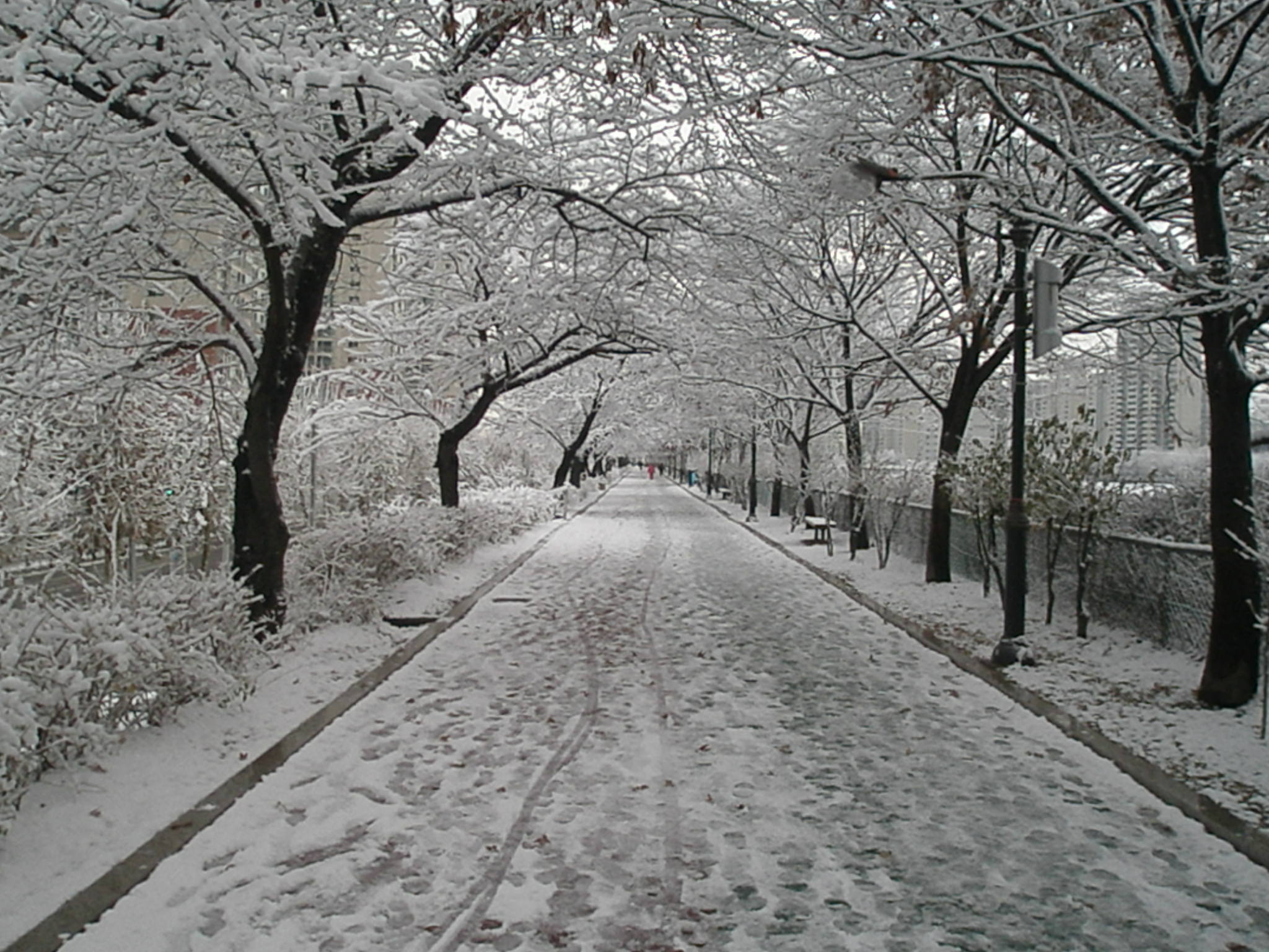 �����ֺ��ü� - �ް�/����