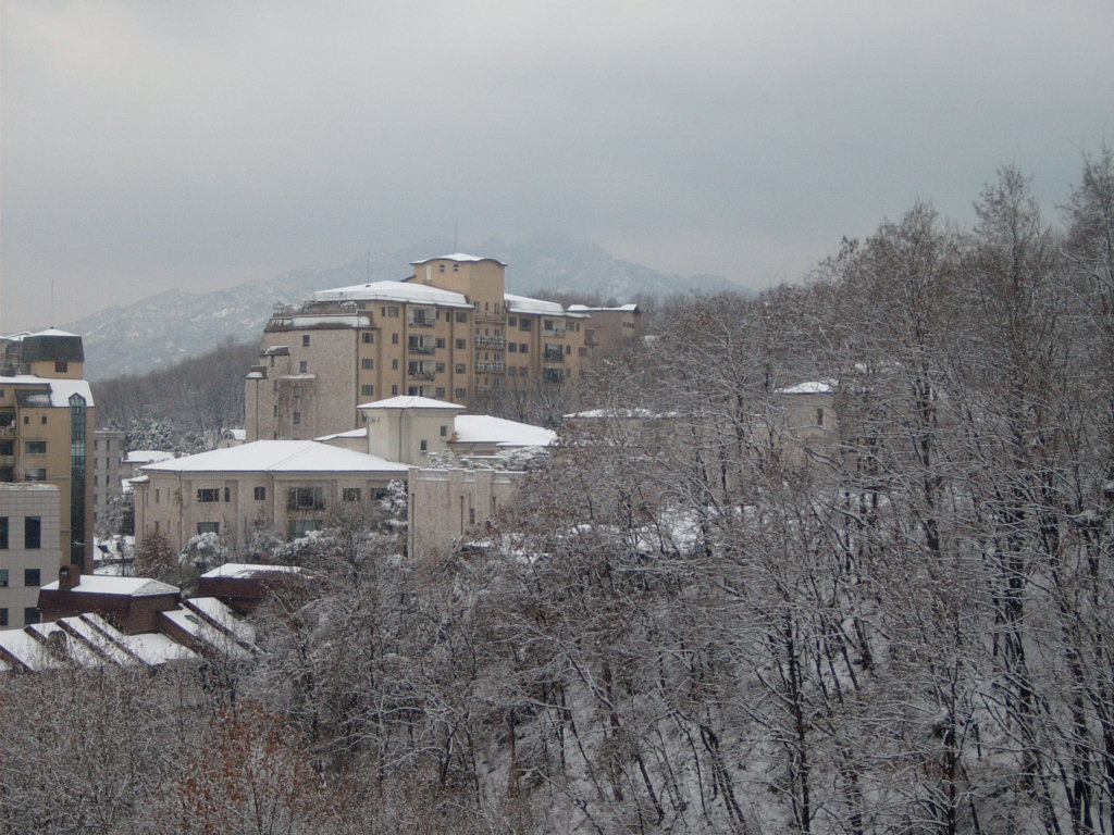 �ܺ����� - ��