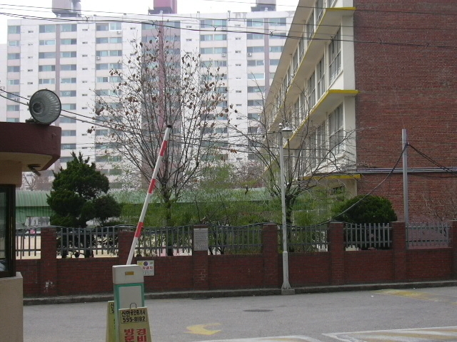 �������� - �����Ա�����