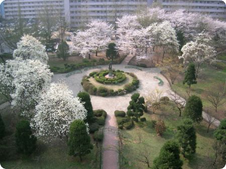 �������ü� - ����ü�