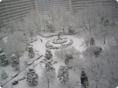 �������ü� - ����ü�