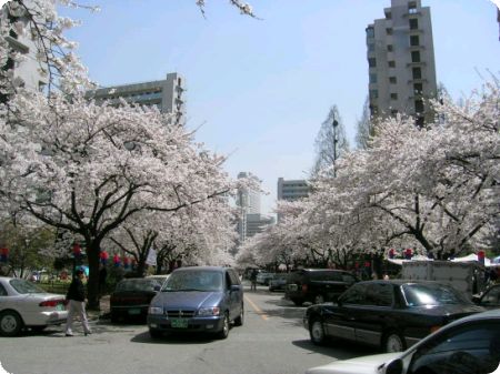 �������� - ������������