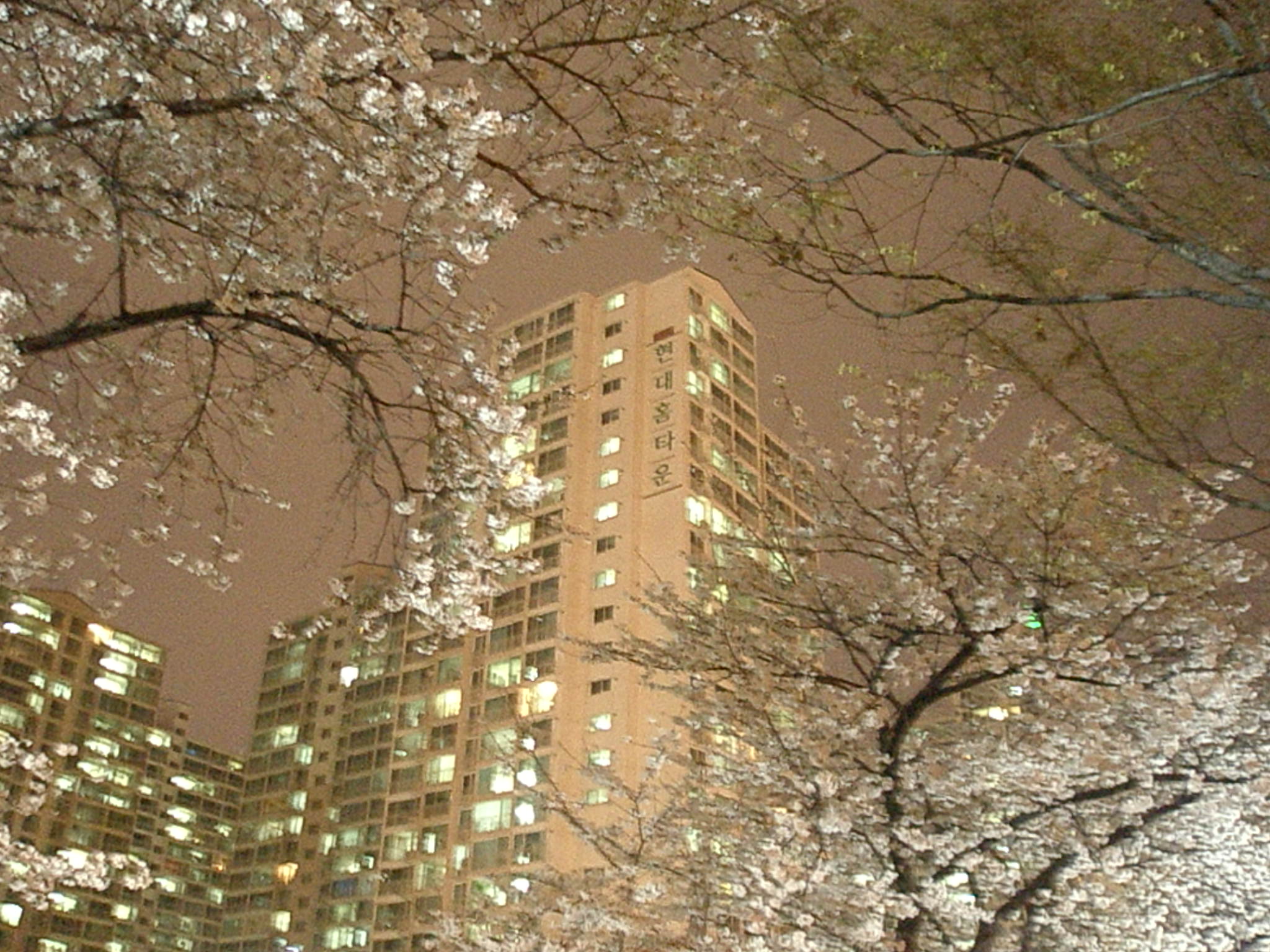 �������� - ��������