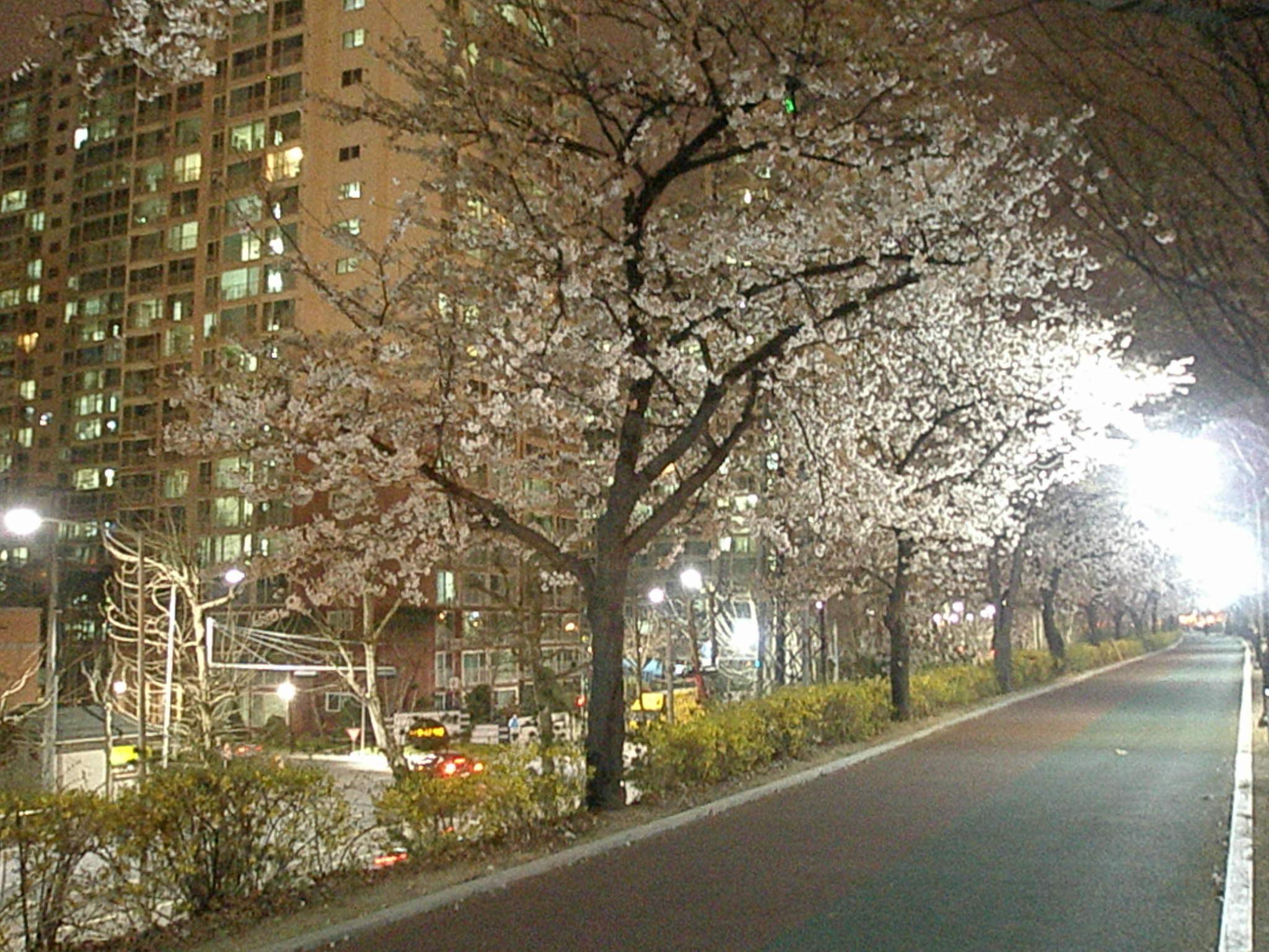 �����ֺ��ü� - �ް�/����