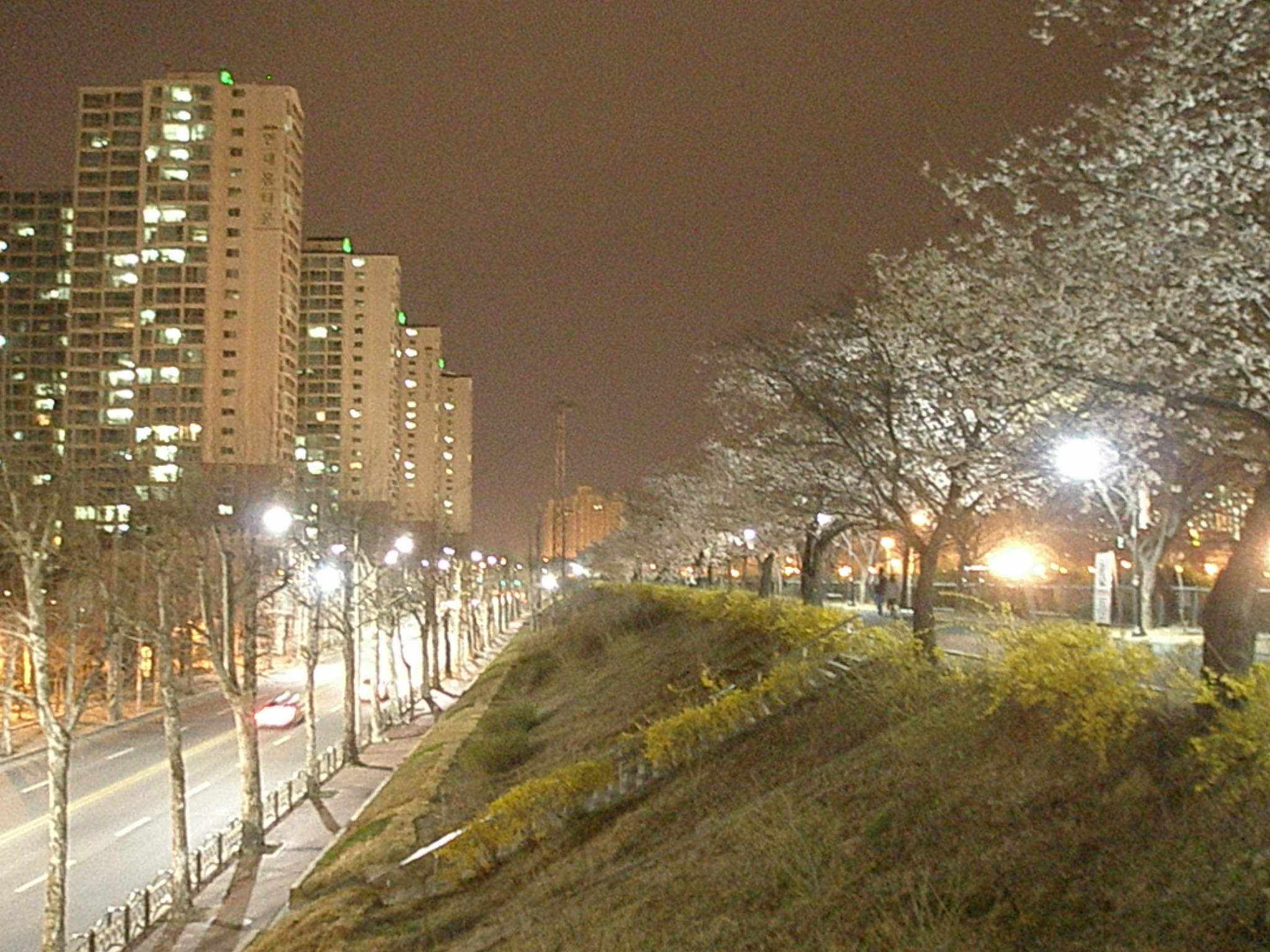 �������� - ��������