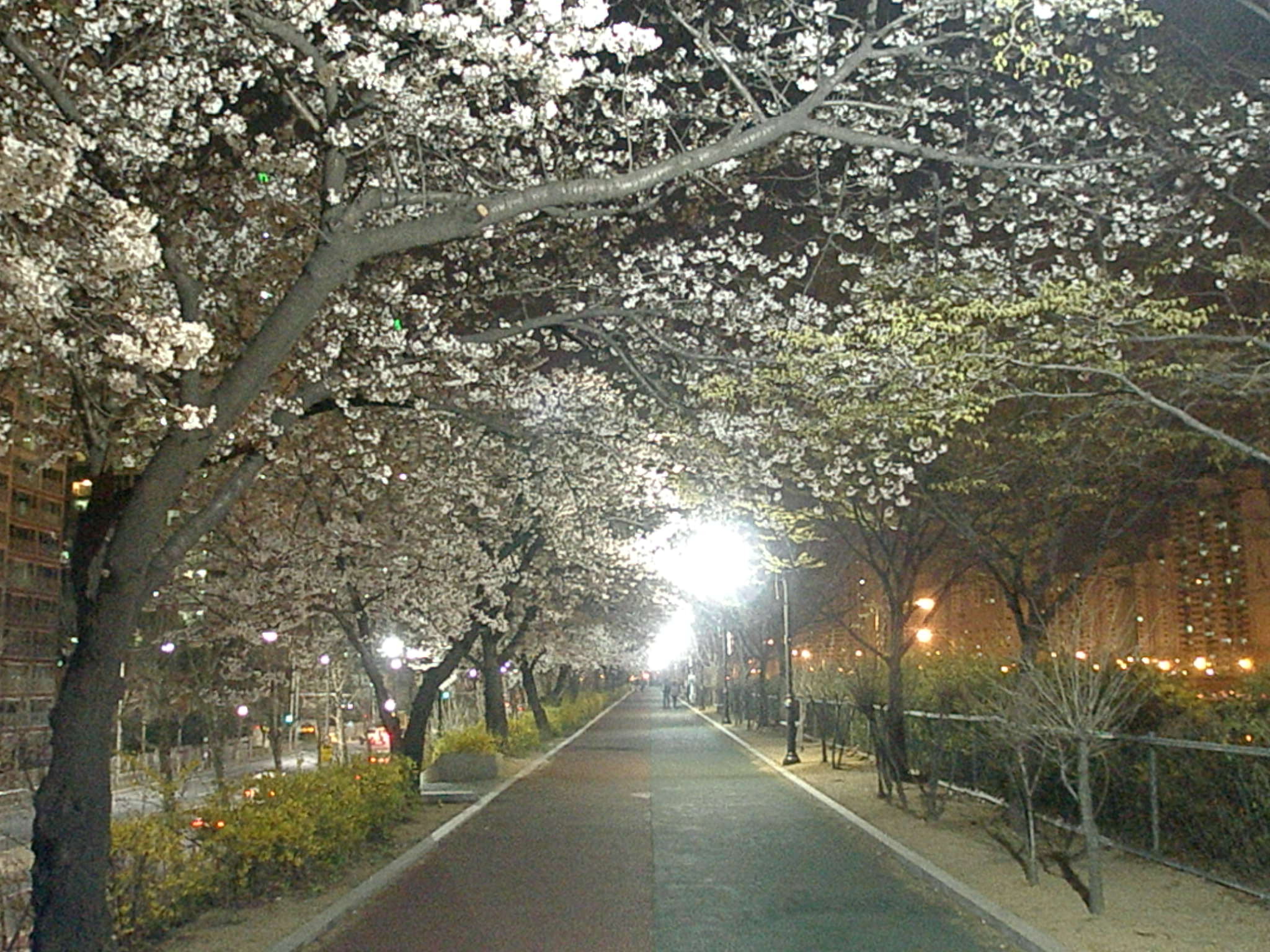 �����ֺ��ü� - �ް�/����