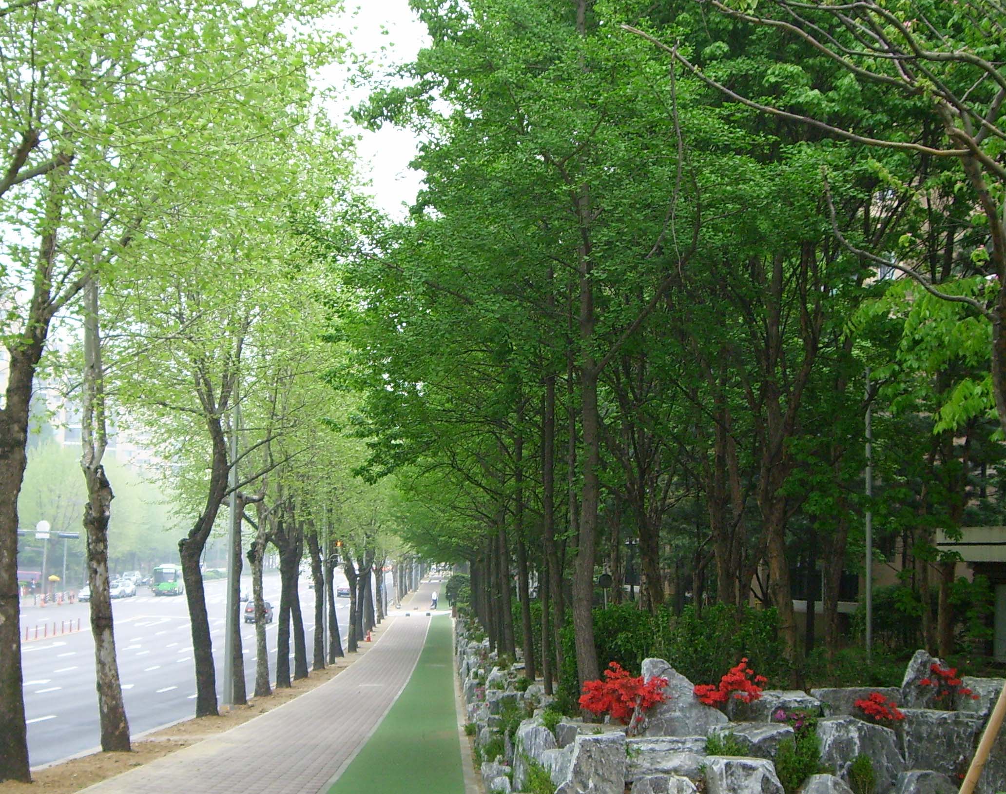 �����ֺ��ü� - �ֺ�����