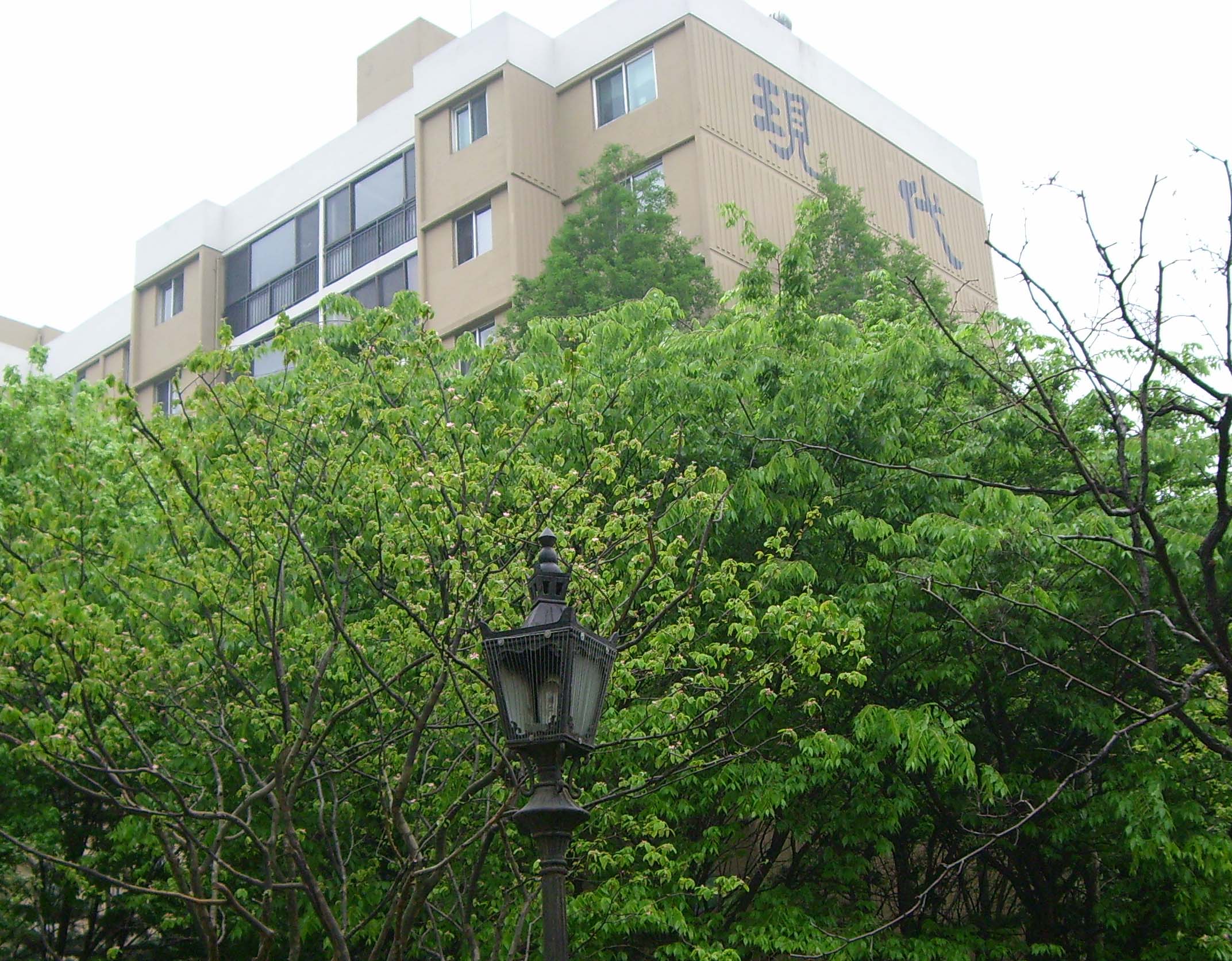 �������� - ��������