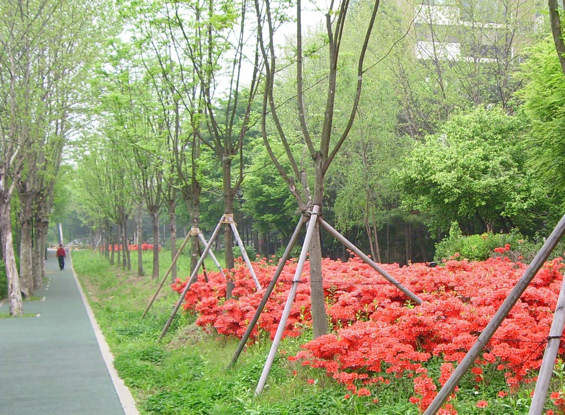 �������ü� - ��å��(����)