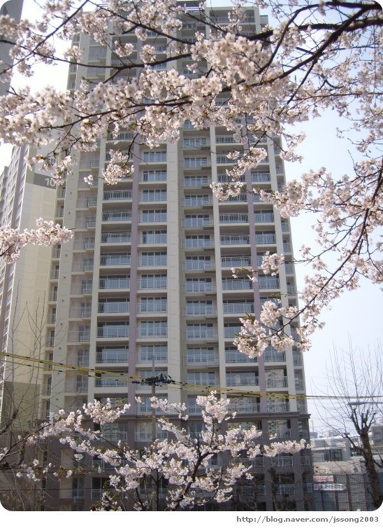 �������� - ������������