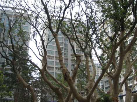 �������� - ������������