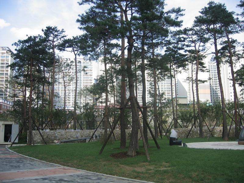 �������� - ��������