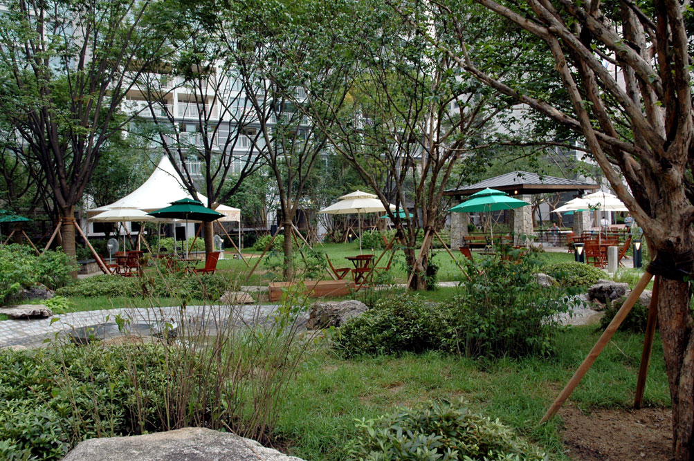 �������ü� - ���ǽü�(�ްԽǵ�)