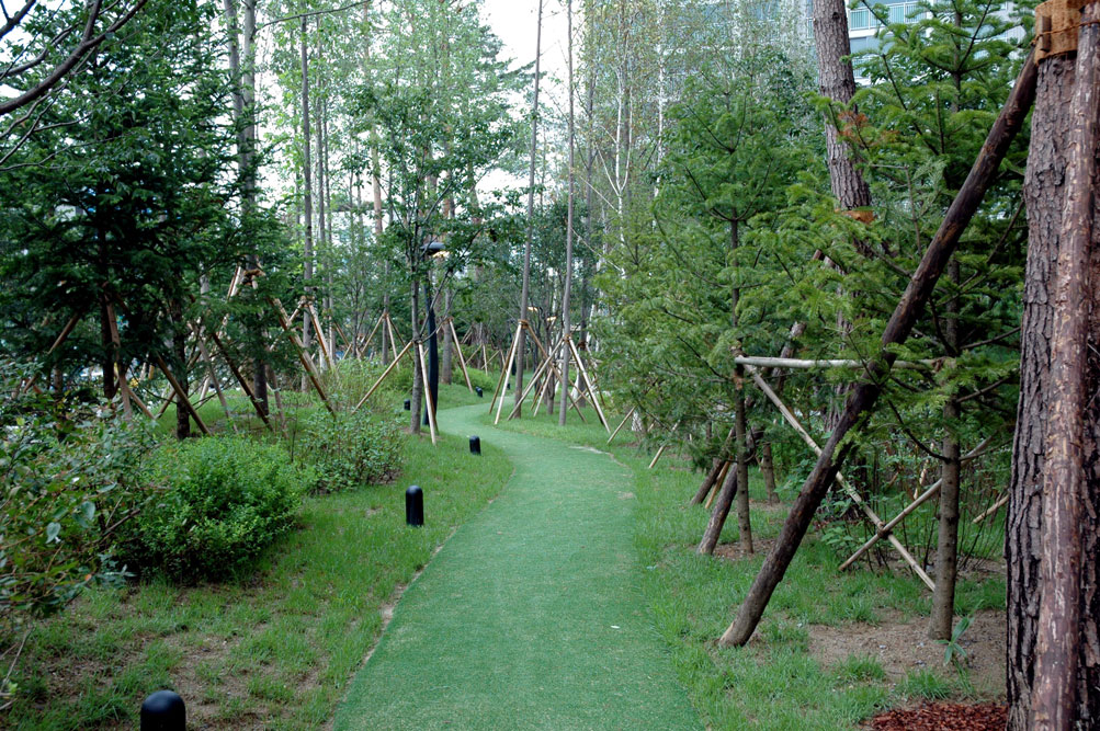 �������ü� - ��å��(����)