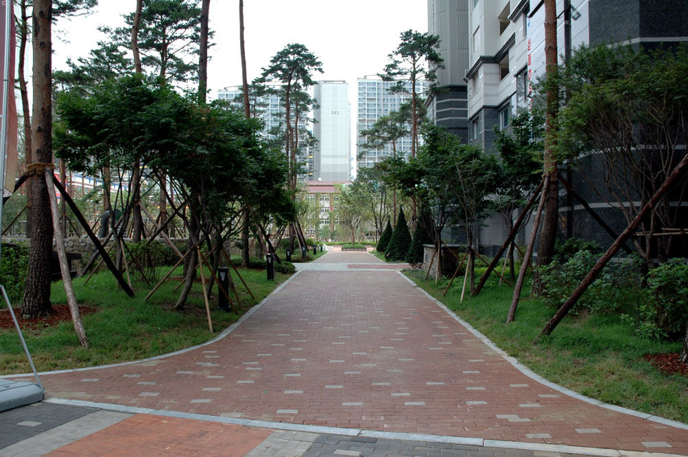 �������ü� - ��å��(����)