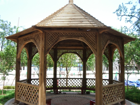 �������ü� - ���ǽü�(�ްԽǵ�)