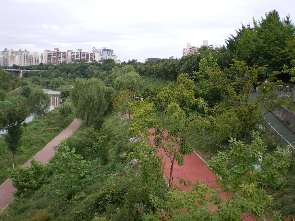 �����ֺ��ü� - �ް�/����