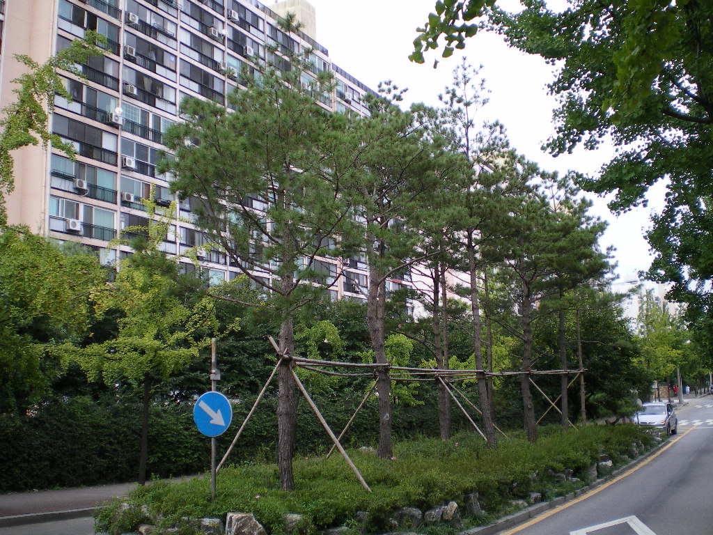 �������� - ������������