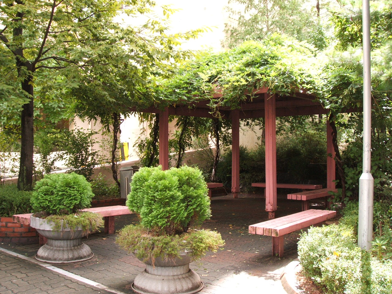 �������ü� - ���ǽü�(�ްԽǵ�)