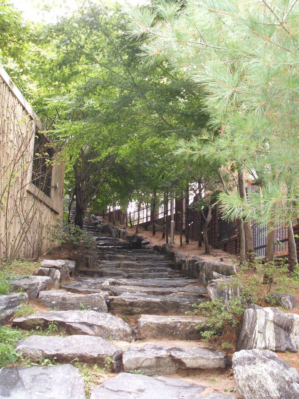 �������ü� - ��å��(����)