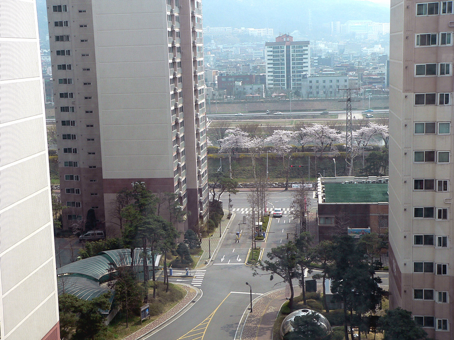 �������� - ��������