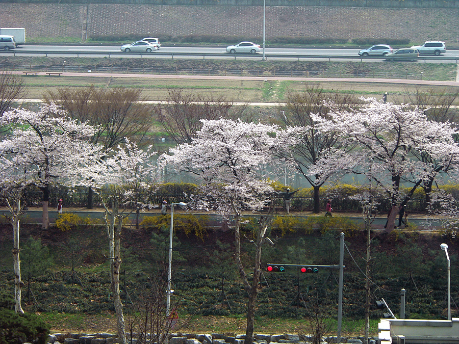 �ܺ����� - ��