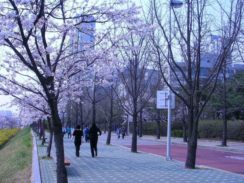 �����ֺ��ü� - �ֺ�����