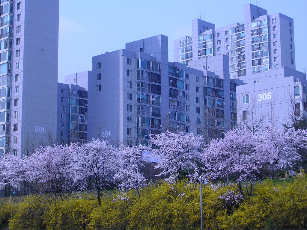 �������� - ��������