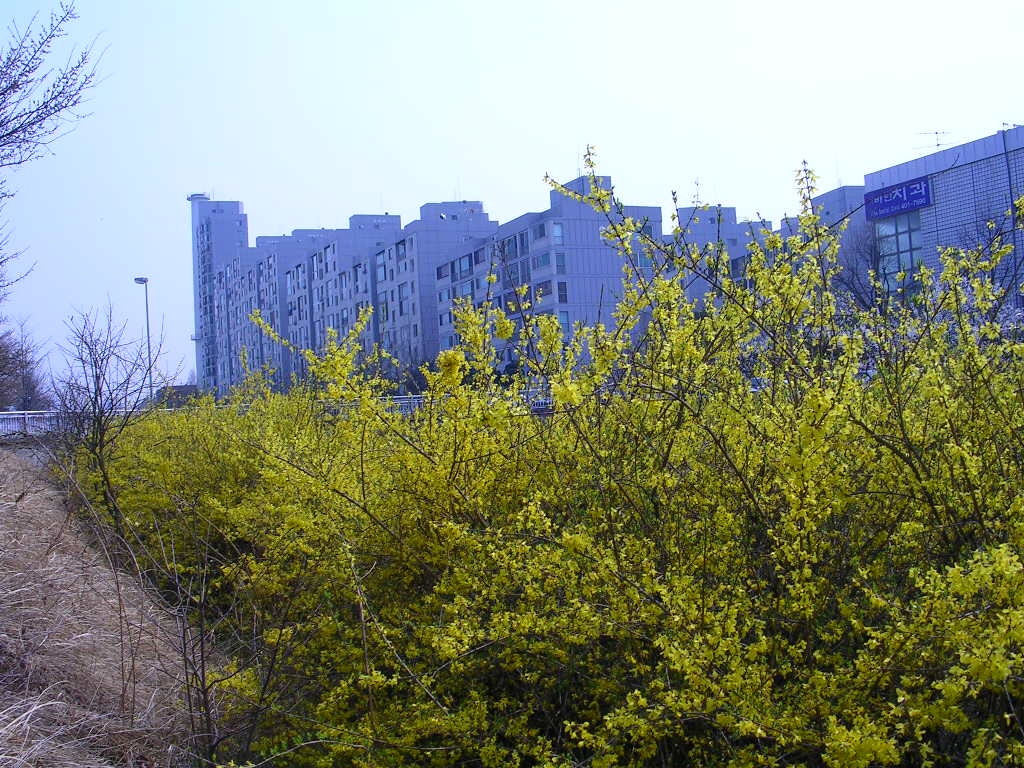 �������� - ��������