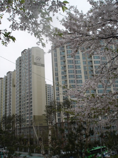 �������� - ��������