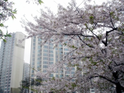 �������� - ��������