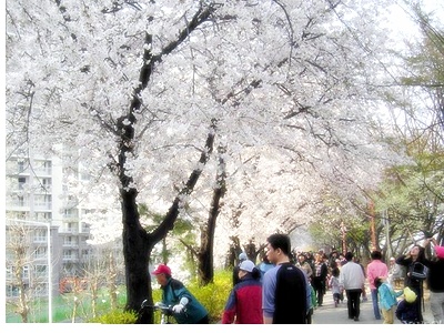 �����ֺ��ü� - �ް�/����