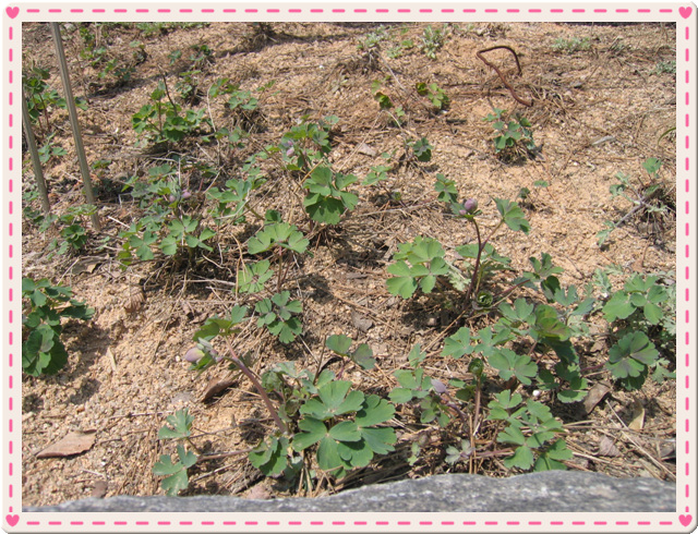 �����ֺ��ü� - �ް�/����